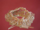 Свадебная подвязка айвори кружева гладкий шелк расшита стразами украшена бантиком стильная красивая