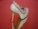 Свадебные вечерние айвори бежевые кремовые туфли на скрытой платформе высокий каблук стразы купить
